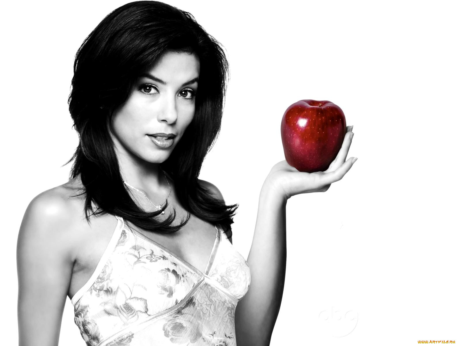 desperate, housewives, , 